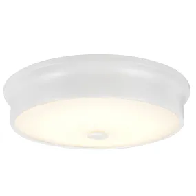 # 63005S-2 LED Small Flush Mount Ceiling Light Fixture, Contemporary Design in White Finish, Frosted Glass Diffuser, 12" Diameter