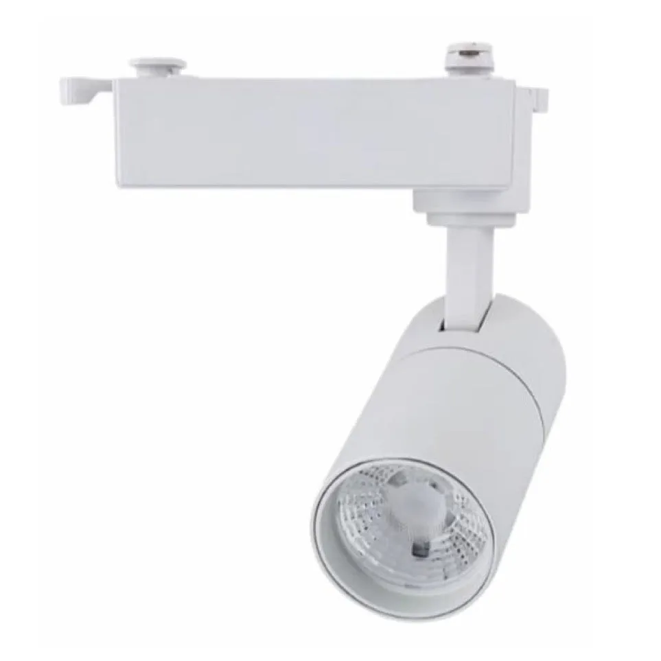 30w Cob Track Light 6007 White body