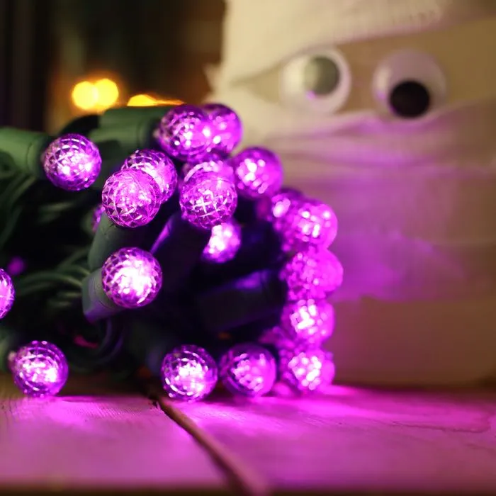 50-light  G12 Purple LED Christmas Lights, 4" Spacing Green Wire