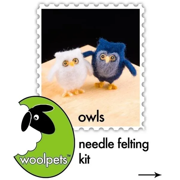 Owls Needle Felting Kit - Intermediate