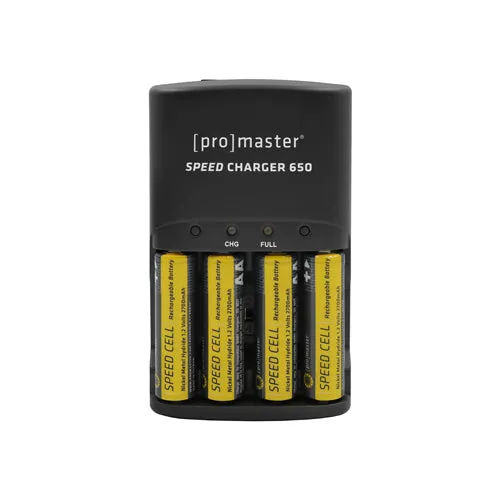 PRO SPEED CHARGER 650 W/4 AA NIMH RECHARGEABLE BATTERIES (1959)